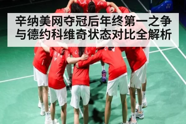 辛纳美网夺冠后年终第一之争与德约科维奇状态对比全解析